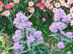 -首开·龙湖成都西宸天街