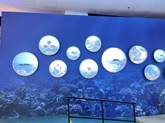 -上海中国航海博物馆