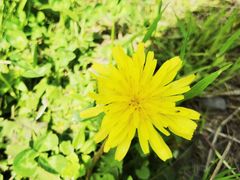 -汉景帝阳陵博物院