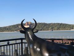 -颐和园