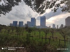 -天鹅湖体育公园