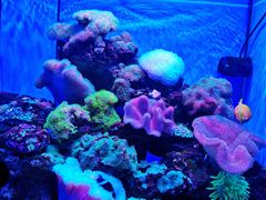 -多彩贵州城极地海洋世界