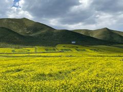 -扁都口生态休闲旅游区