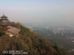 -杭州半山国家森林公园