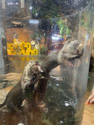 -Zoolung Zoolung动物主题公园(海信广场店)