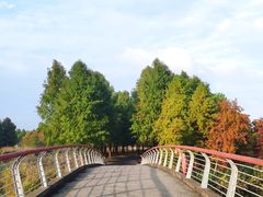 -宁波杭州湾国家湿地公园