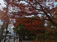 -牧歌KTV(观前店)