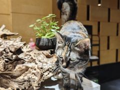 -豪泰168酒店(无锡上马墩靖海地铁站店)