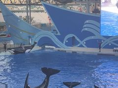 -上海海昌海洋公园