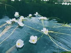 -丽江泸沽湖景区