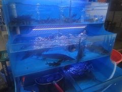 -韩妹鱼庄·泸定老字号(泸定店)
