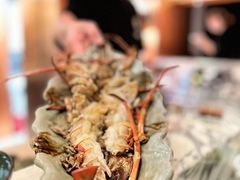 -High Yaki THE SEA海鲜居酒屋