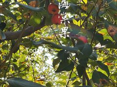 -野鸭湖国家湿地公园