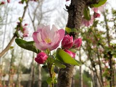 -中国农业博物馆