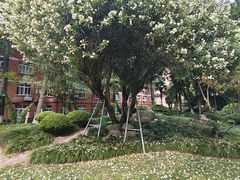 -上海外国语大学(虹口校区)