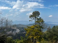 -九华山聚龙大酒店