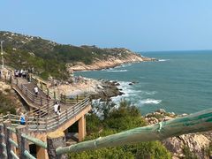 -广东惠东海龟国家级自然保护区