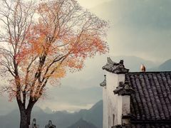 -塔川景区