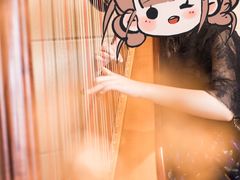 -羽·摄影工作室·外拍·跟拍·活动会议视频