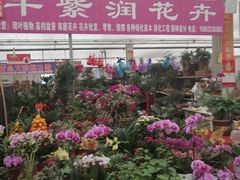 -李村大集
