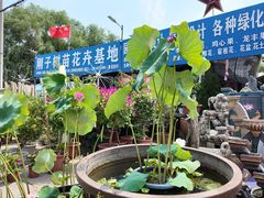 -蒲河大集