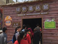 -苏州乐园森林水世界