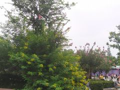 -成飞公园