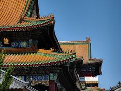 -天津大悲禅院
