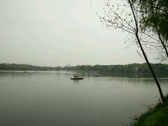 -昆山城市生态森林公园