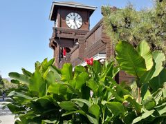 -永定河休闲森林公园