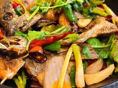 香煎泥鯭-强记海鲜·大排档(蛇口新街店)