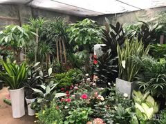 -金陵花卉交易市场