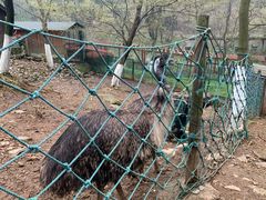 -南京老山国家森林公园