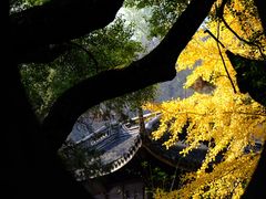 -惠山古镇·寄畅园