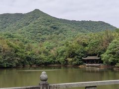 -杭州半山国家森林公园