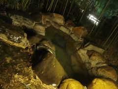 -咸宁万豪温泉谷度假区
