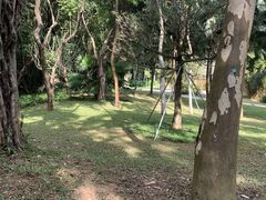 -深圳国际园林花卉博览园