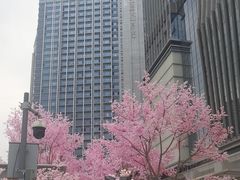 -首开·龙湖成都西宸天街