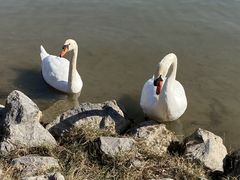 -北龙湖湿地公园