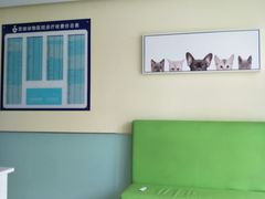 -美迦爱-牙专科·兔科·骨科诊疗中心(北苑店)