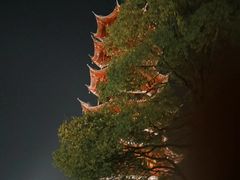 -龙华寺