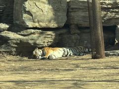 -秦皇岛野生动物园