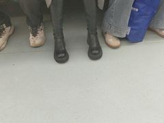 -颜氏双江清水鱼一养身火锅(磁器口店)