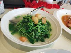 上汤时蔬-皇朝会.经典传统粤菜(外滩店)