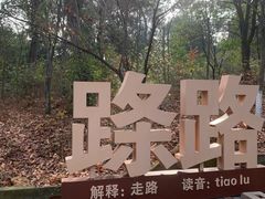 -游子山休闲旅游区