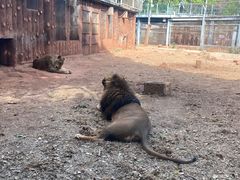 -昆明动物园
