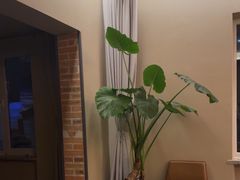 -羊门客在·烤盐池滩羊·川菜