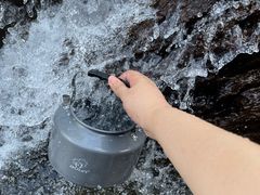 -正源安吉白茶特产享购商场(安吉店)