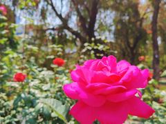 -人民公园(罗湖区)