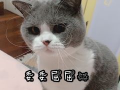 -悦宠动物医院(京丰分院)